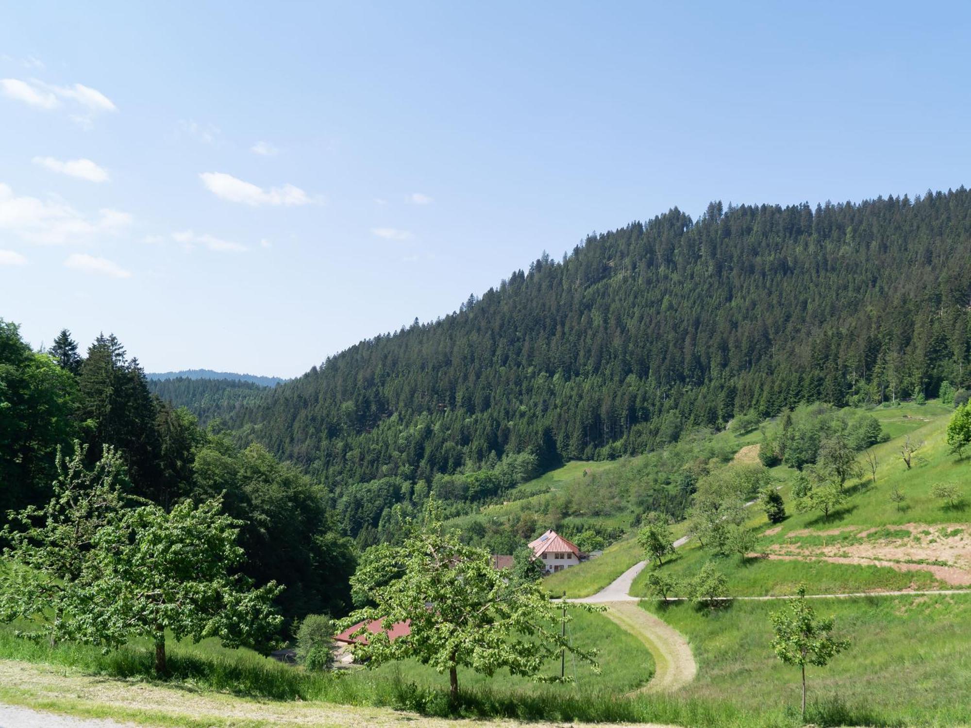 Holderstanzenhof Apartment บาด ปีเตอร์สตัล กรีสบาค ภายนอก รูปภาพ