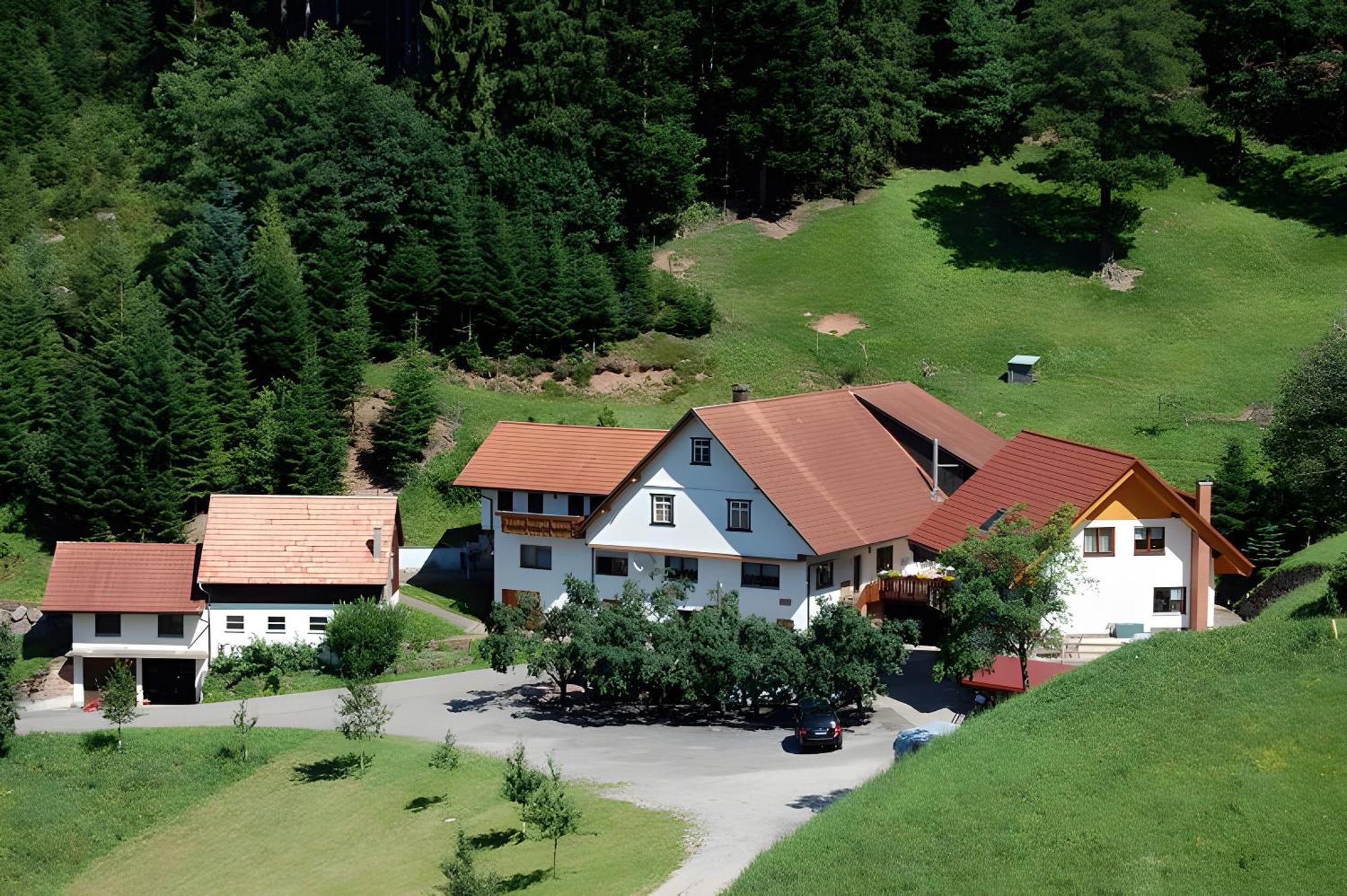 Holderstanzenhof Apartment บาด ปีเตอร์สตัล กรีสบาค ภายนอก รูปภาพ