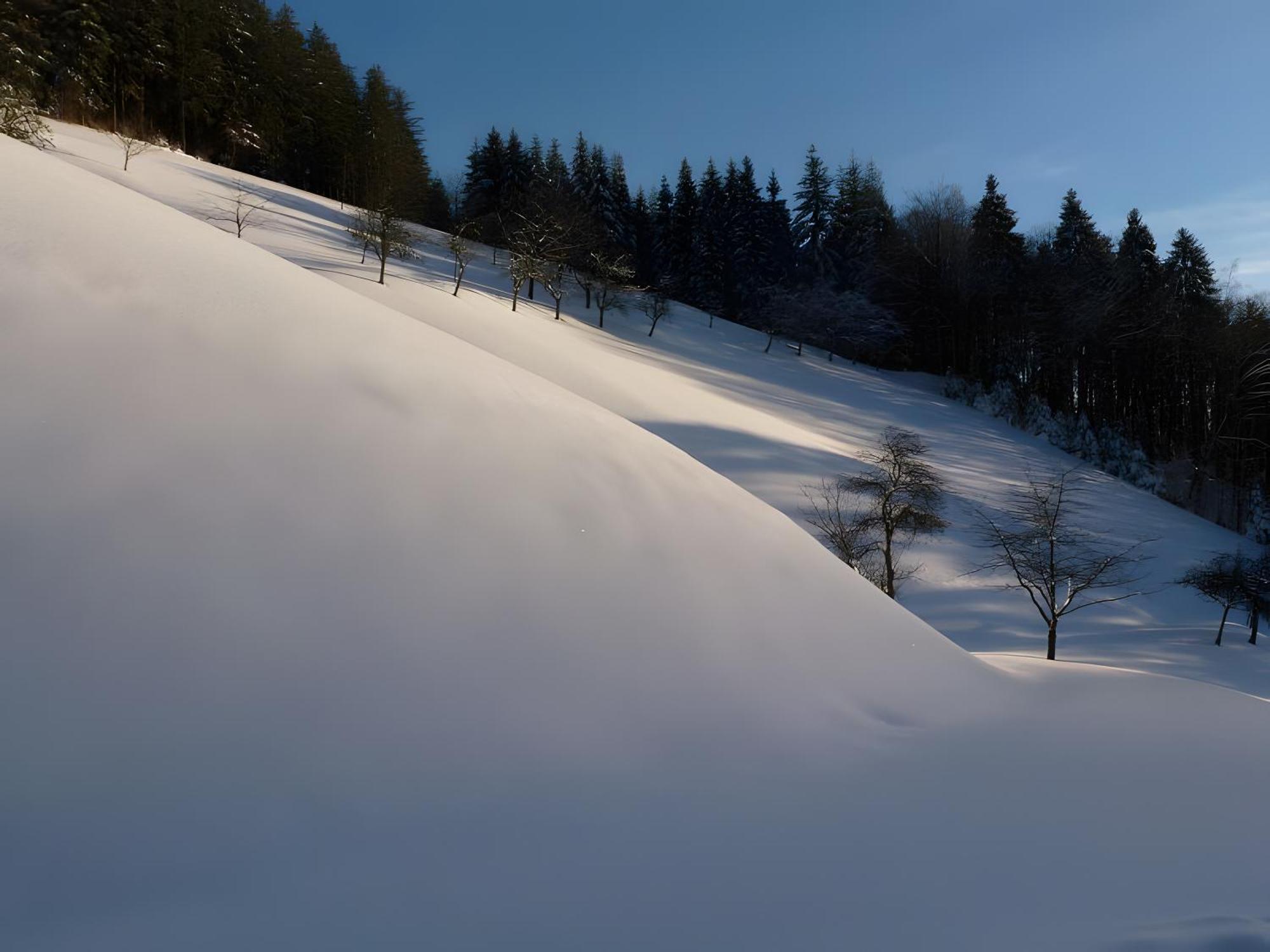 Holderstanzenhof Apartment บาด ปีเตอร์สตัล กรีสบาค ภายนอก รูปภาพ