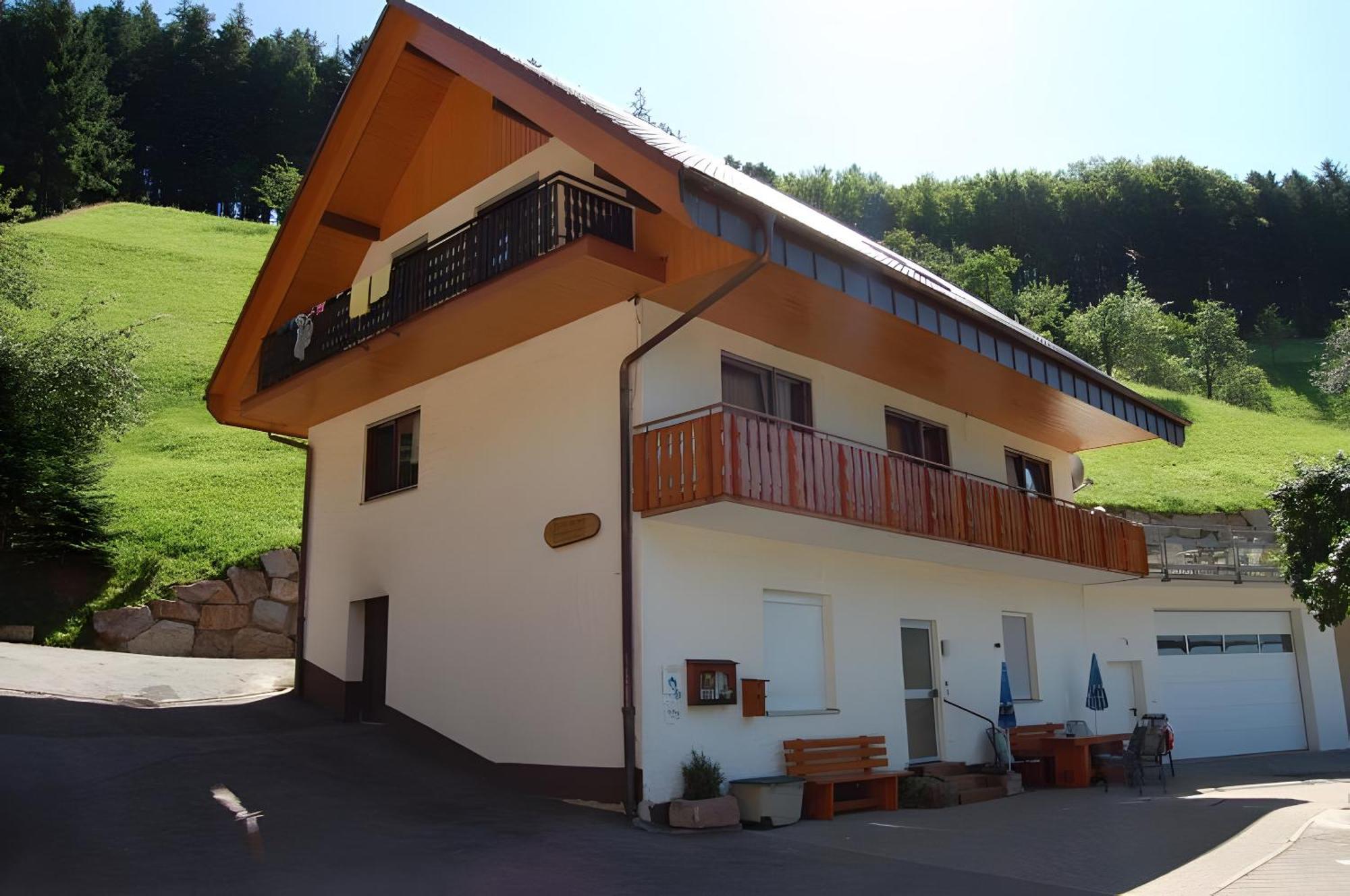 Holderstanzenhof Apartment บาด ปีเตอร์สตัล กรีสบาค ภายนอก รูปภาพ