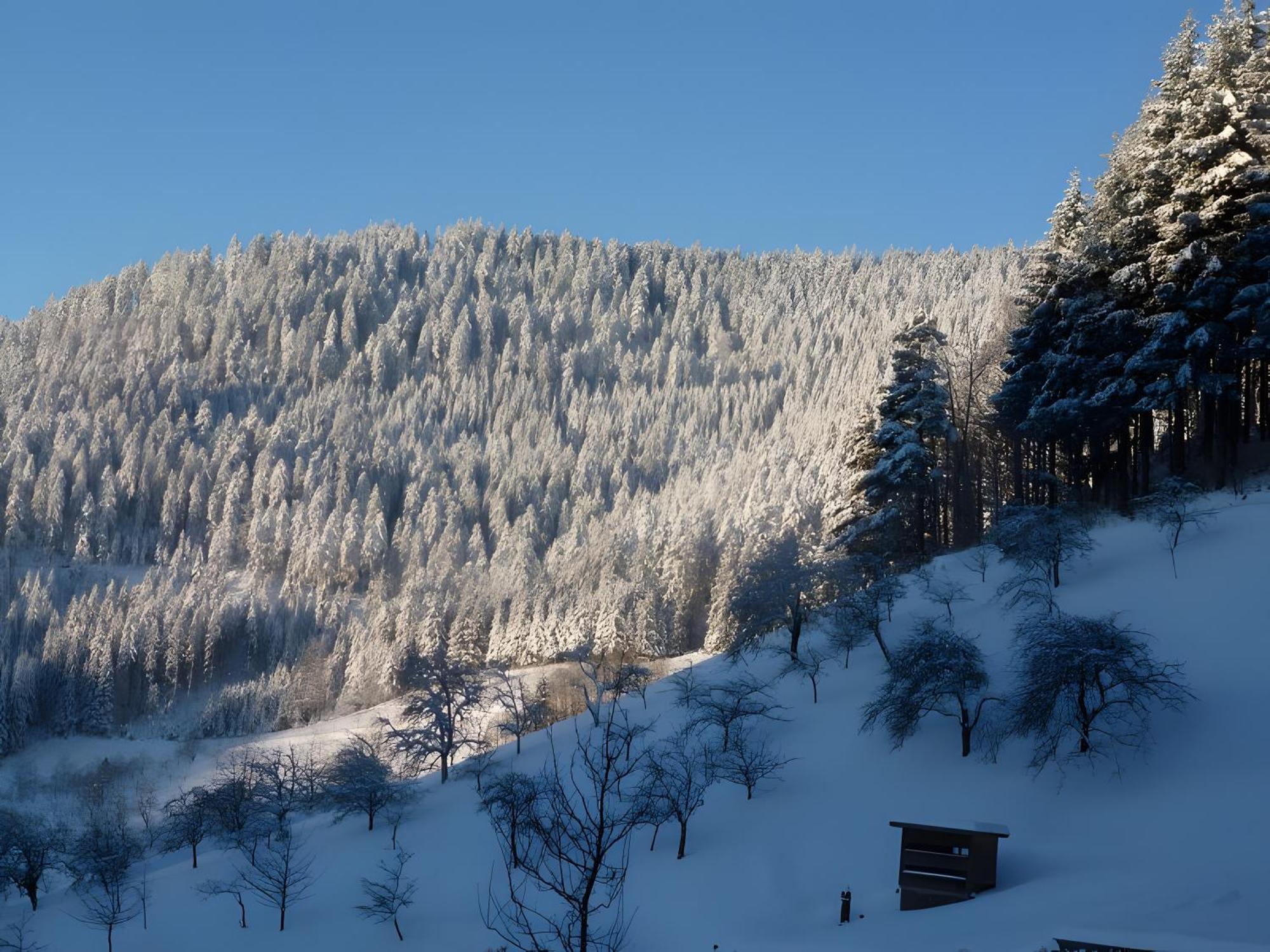Holderstanzenhof Apartment บาด ปีเตอร์สตัล กรีสบาค ภายนอก รูปภาพ